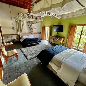 Suite Dúplex
